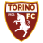 toro-630f43d34c2f8.png